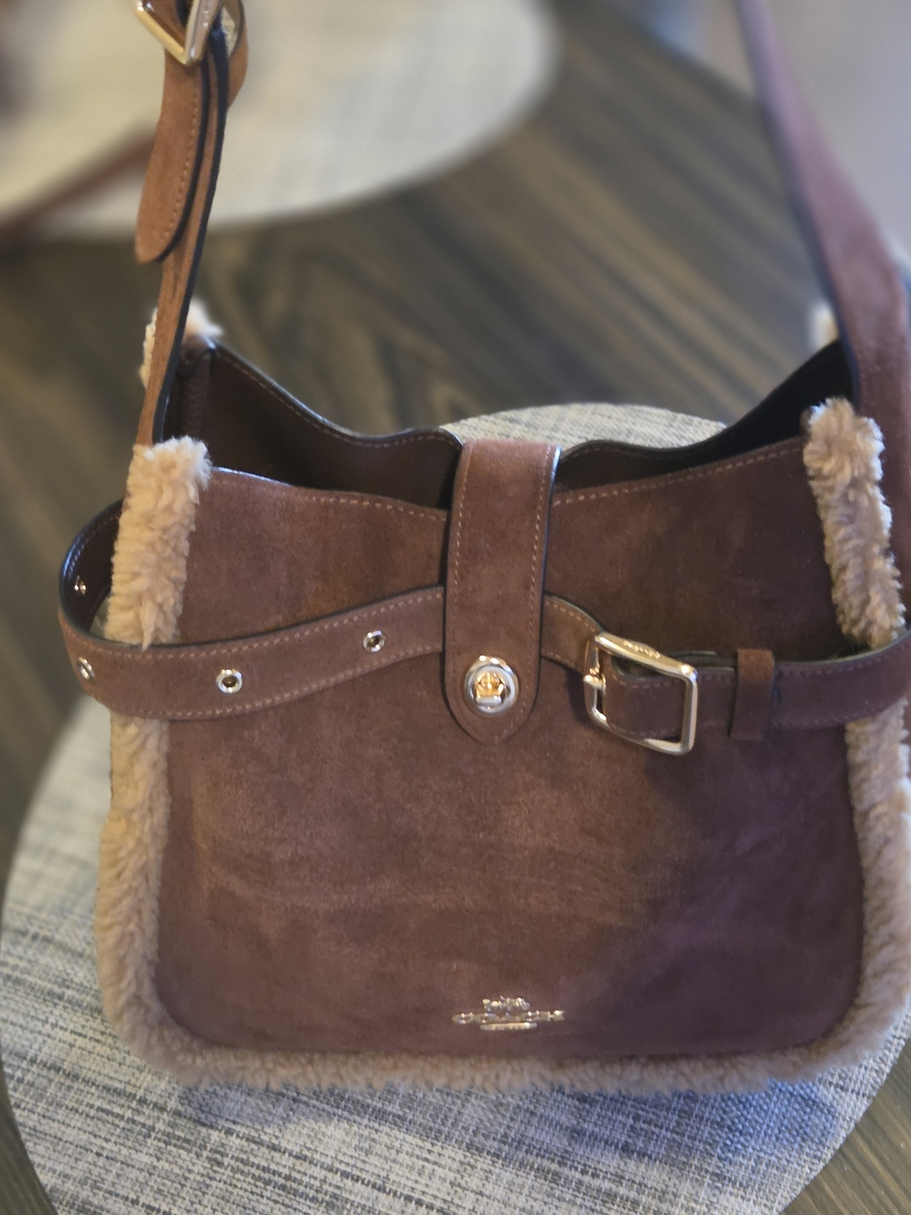 Coach Hadley Convertible Crossbody Bag Suede & Shearling